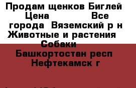 Продам щенков Биглей › Цена ­ 15 000 - Все города, Вяземский р-н Животные и растения » Собаки   . Башкортостан респ.,Нефтекамск г.